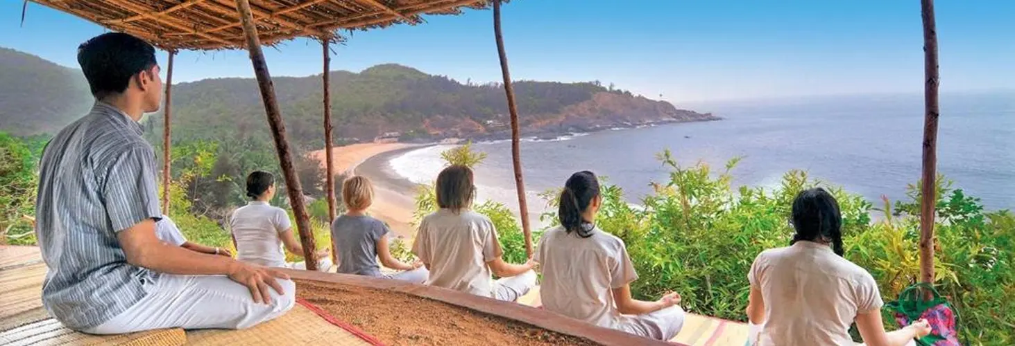 Terms and Conditions