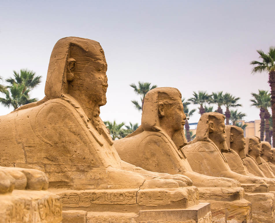 shuttAvenue of Sphinxes, Luxor Temple, UNESCO World Heritage Site, Luxor, Egypt, North Africa, Africarstock_2445325703